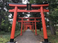 Fushimi Inari, Kyoto, Japan